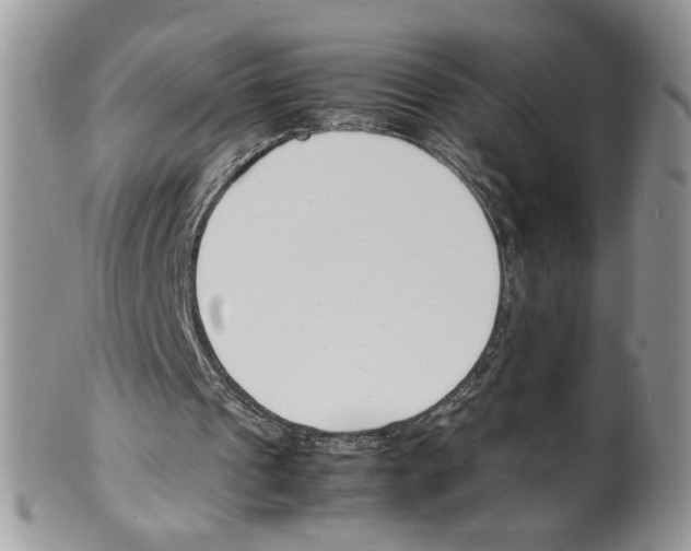 X0000099550241200806131218