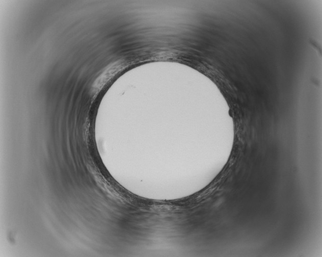 X0000099550242200806131218