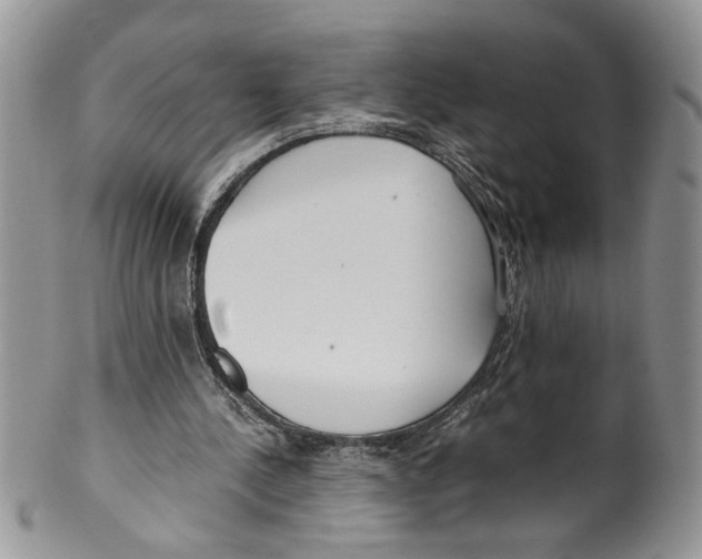 X0000099550244200806131218