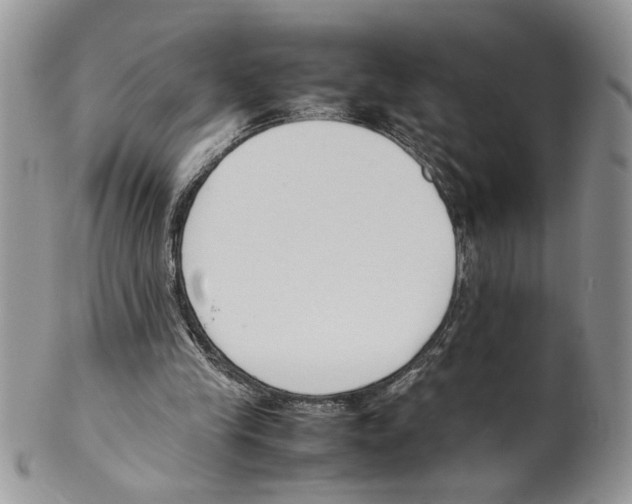 X0000099550245200806131218