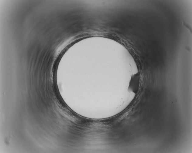 X0000099550246200806131218