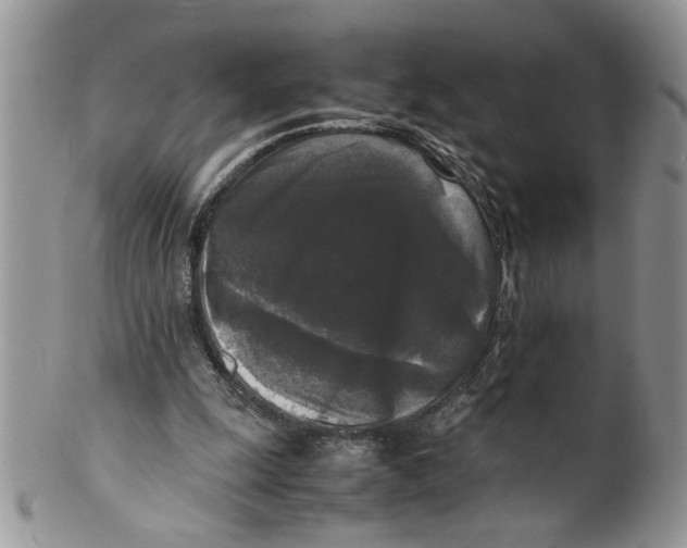 X0000099550247200806131218