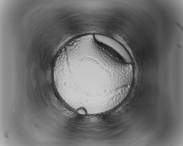 X0000099550249200806131218