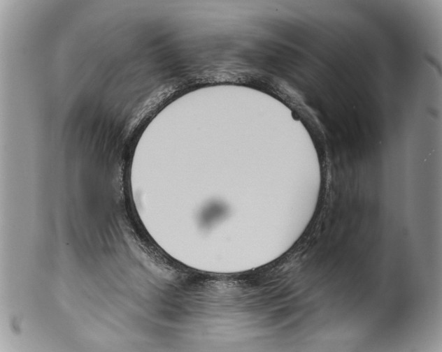 X0000099550250200806131218