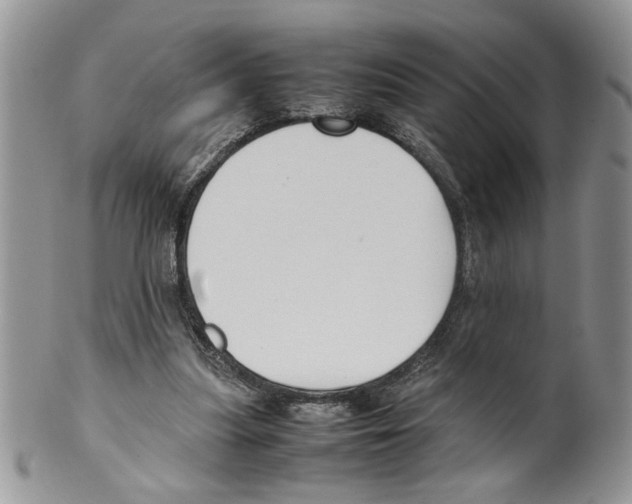 X0000099550251200806131218