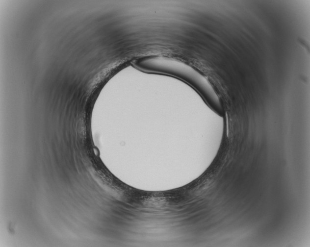 X0000099550252200806131218