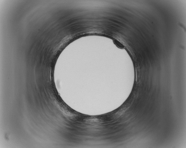 X0000099550253200806131218