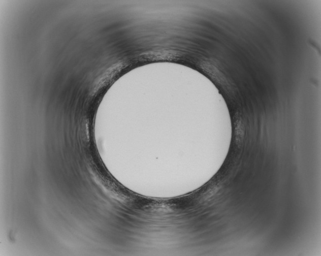 X0000099550254200806131218