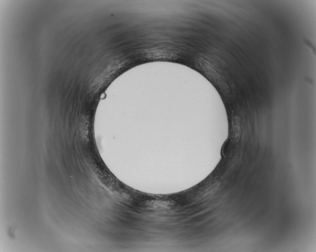 X0000099550255200806131218