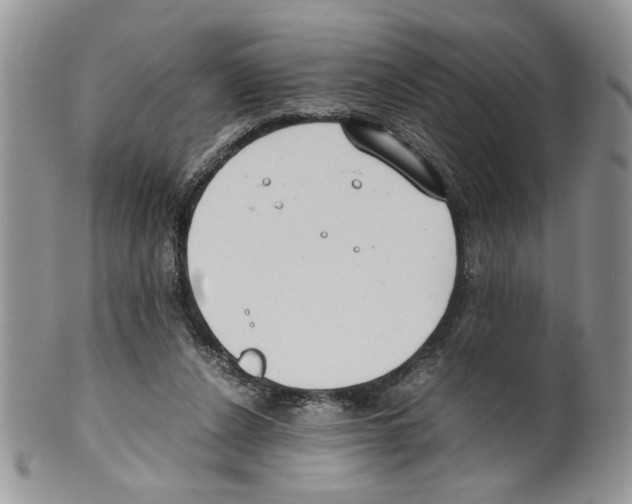 X0000099550256200806131218