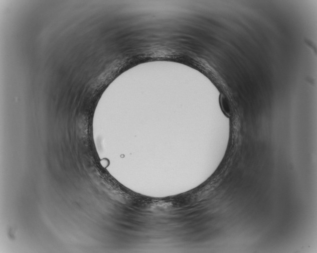 X0000099550257200806131218