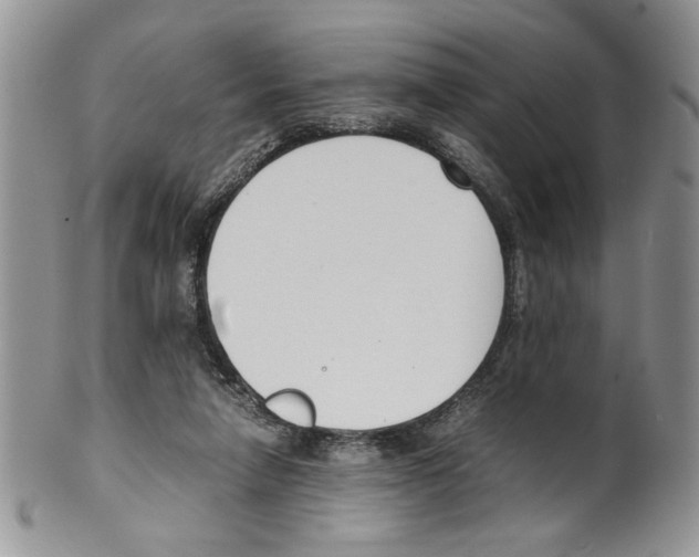 X0000099550258200806131218