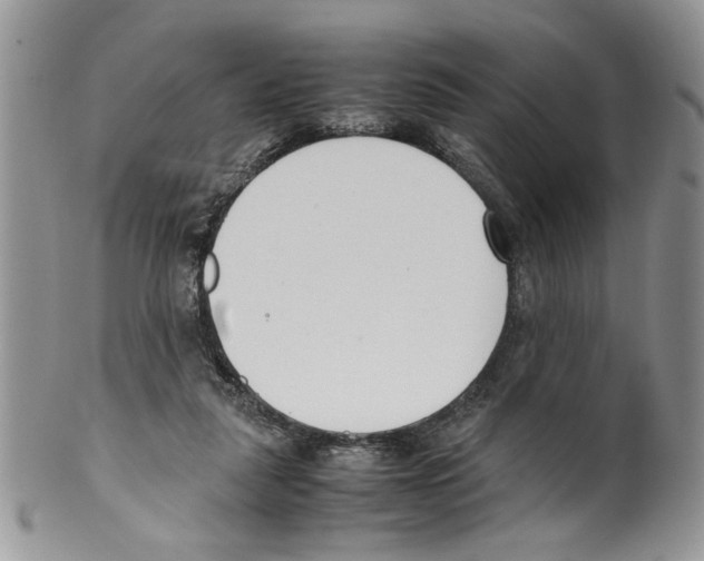 X0000099550259200806131218