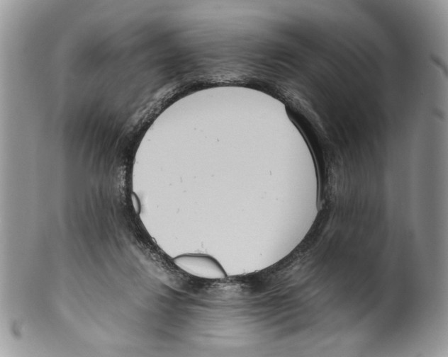 X0000099550260200806131218