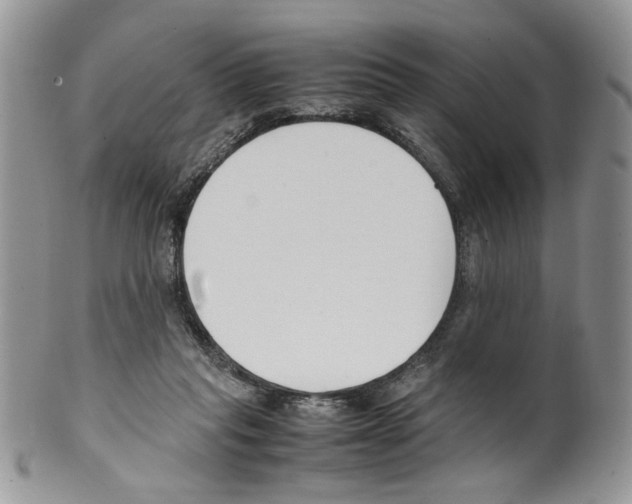 X0000099550261200806131218