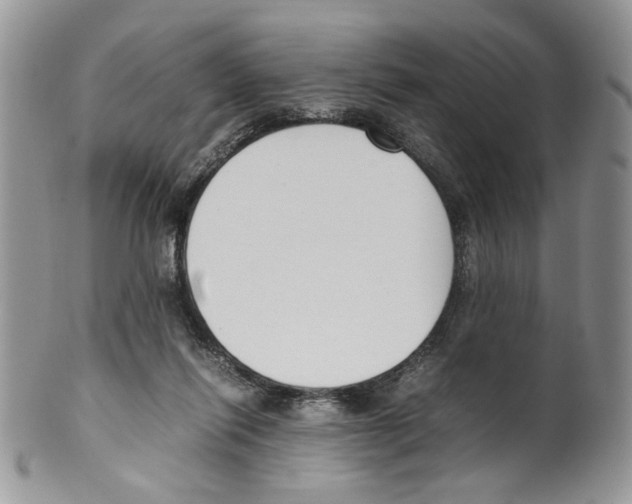 X0000099550262200806131218