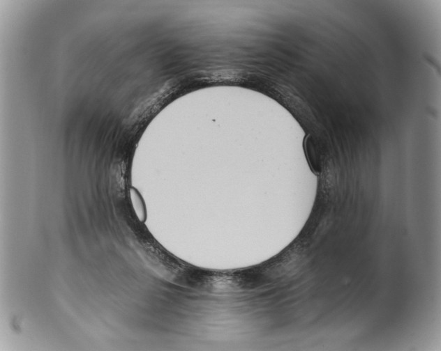 X0000099550264200806131218