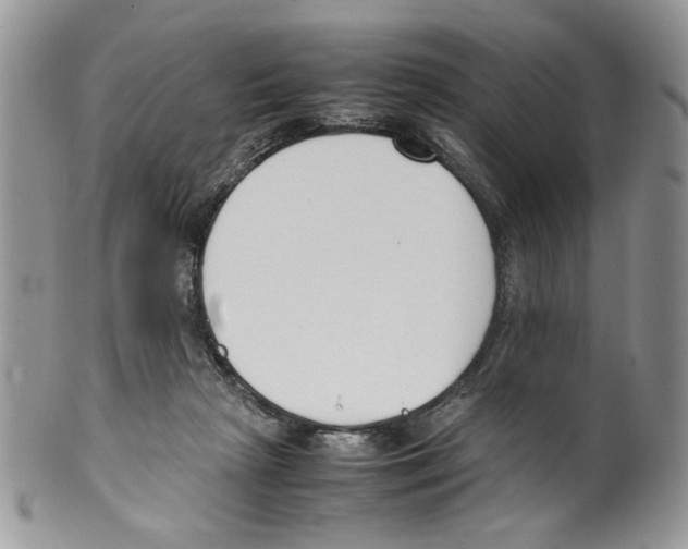 X0000099550265200806131218