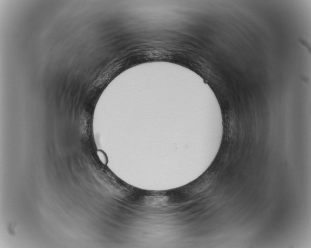 X0000099550266200806131218