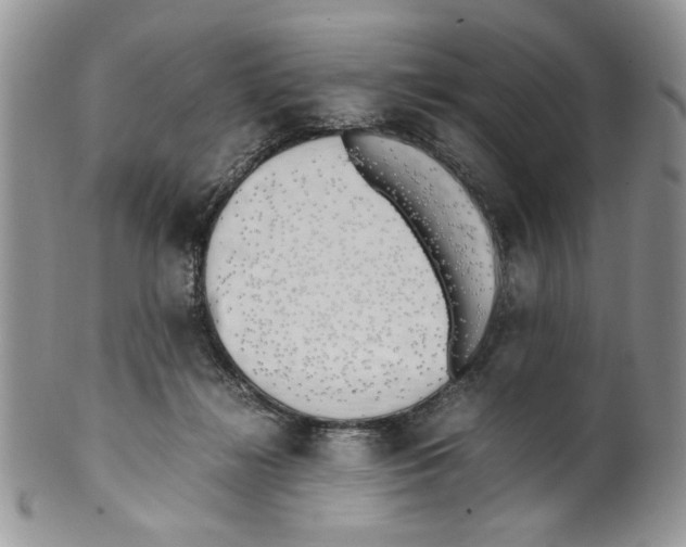 X0000099550268200806131218