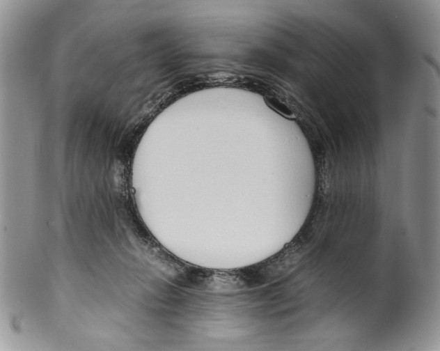 X0000099550270200806131218