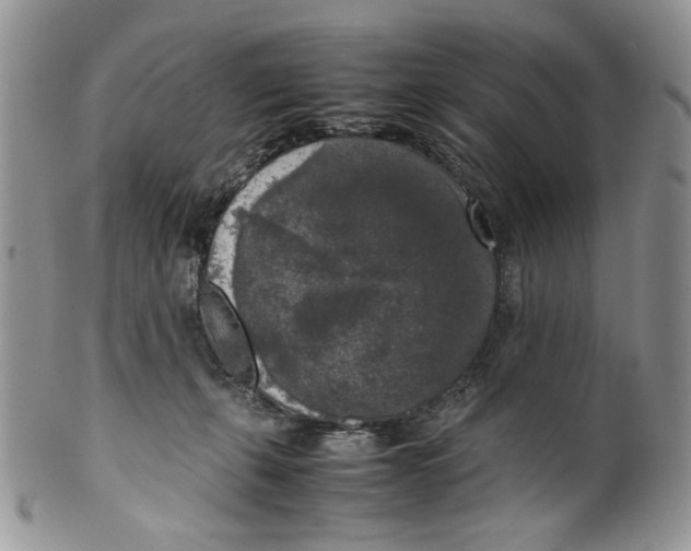 X0000099550271200806131218