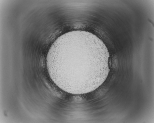 X0000099550272200806131218