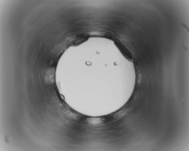 X0000099550273200806131219