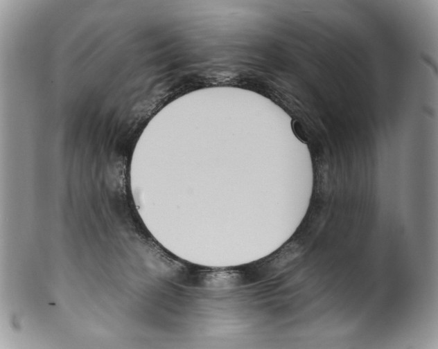 X0000099550274200806131219