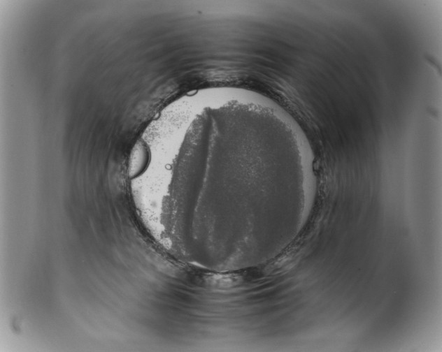 X0000099550277200806131219