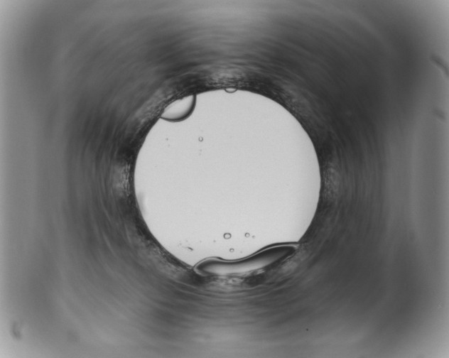 X0000099550278200806131219