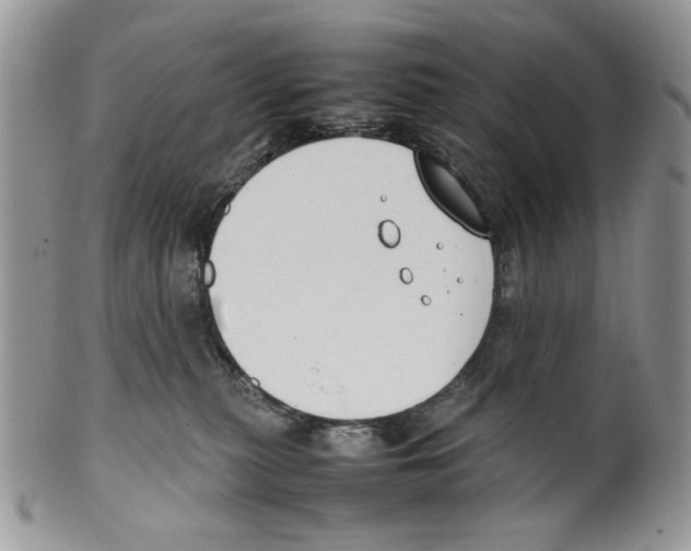 X0000099550279200806131219