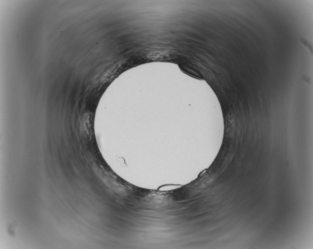 X0000099550280200806131219