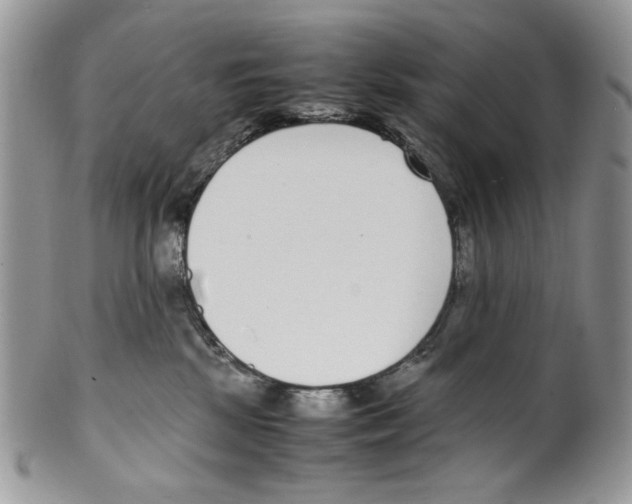 X0000099550281200806131219