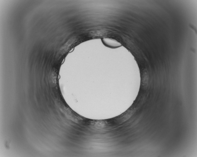 X0000099550282200806131219