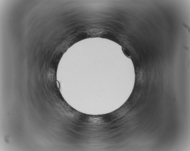 X0000099550283200806131219