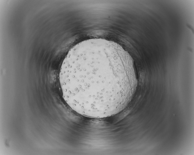 X0000099550284200806131219