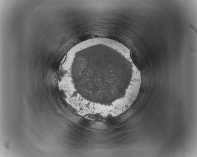 X0000099550285200806131219