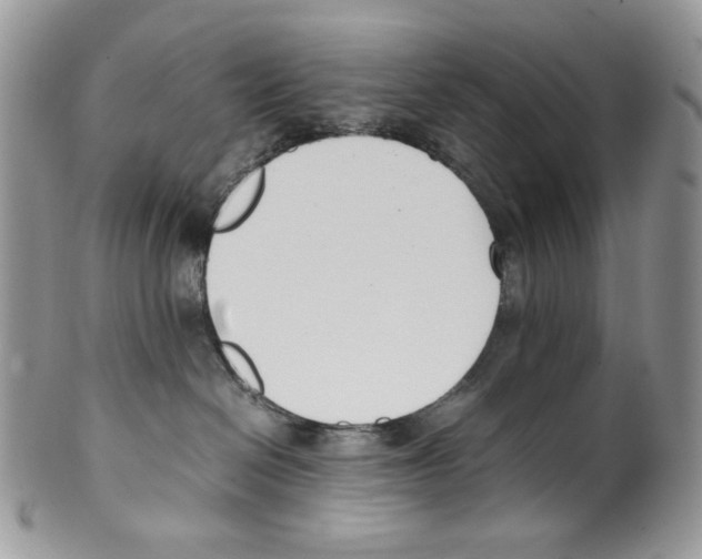 X0000099550286200806131219