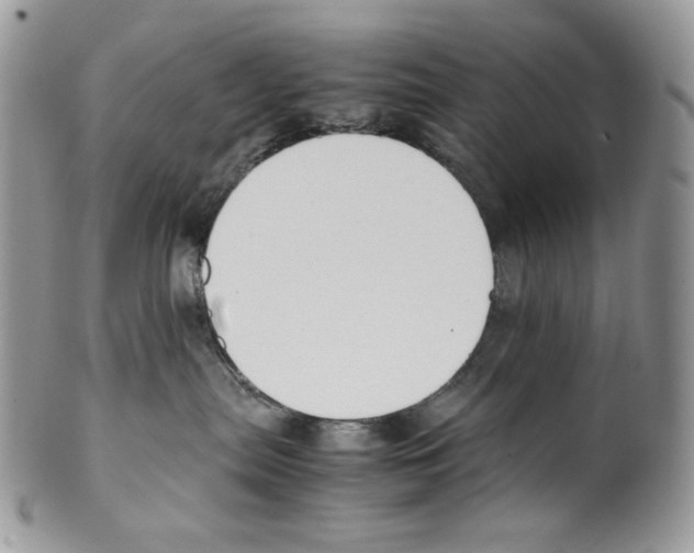 X0000099550287200806131219