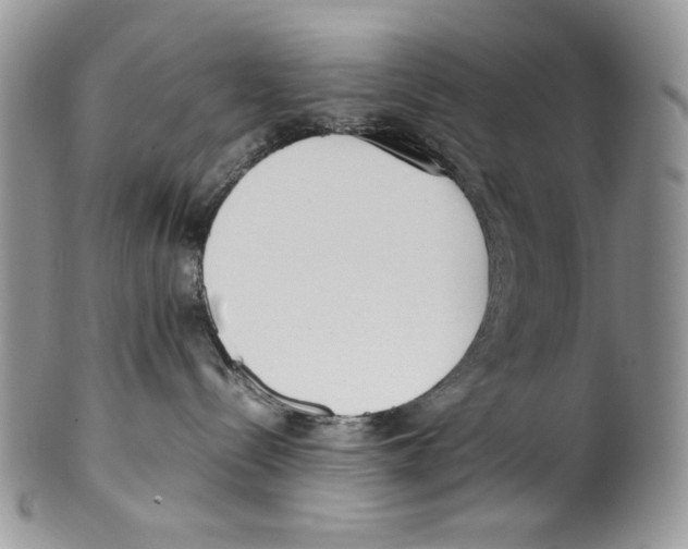 X0000099550288200806131219