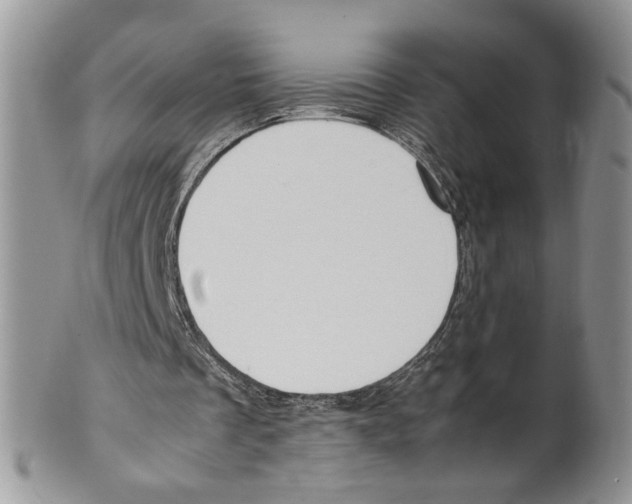 X0000099550289200806131218