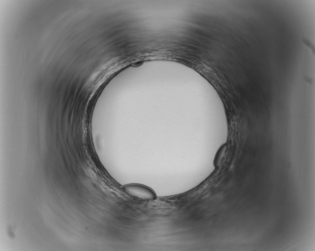 X0000099550290200806131218