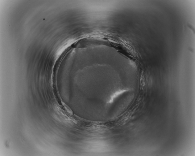 X0000099550292200806131218