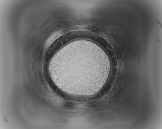 X0000099550293200806131218