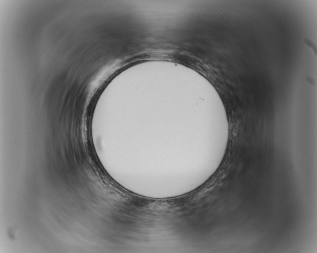 X0000099550294200806131218