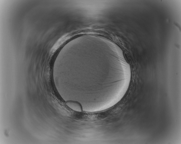 X0000099550295200806131218