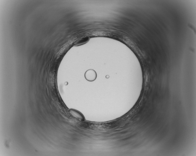 X0000099550297200806131218