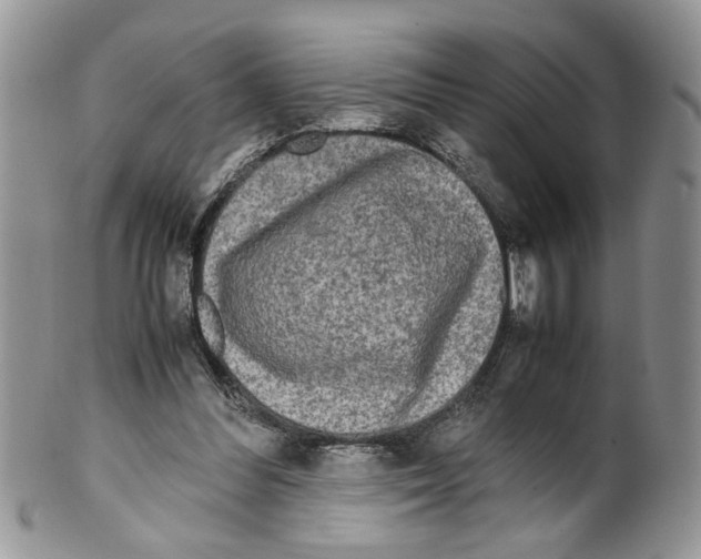 X0000099550300200806131218