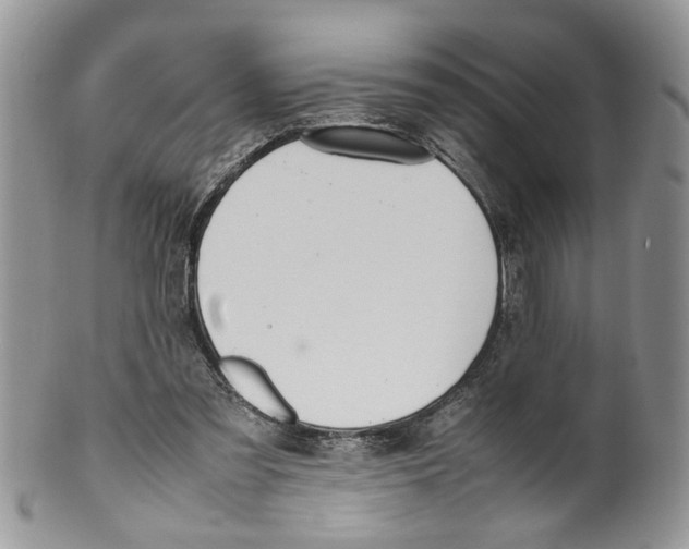 X0000099550301200806131218